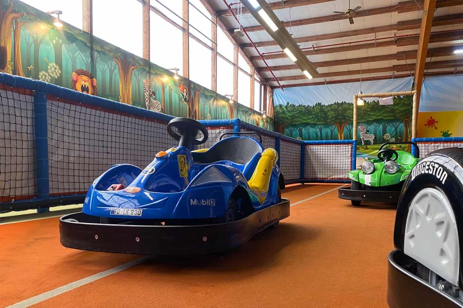 Ekarts 1361 04